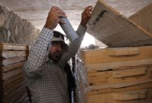 گزارش تصویری از بازدید  کارگاه آموزشی متالوژنی ایران؛ با موضوع تخصصی متالوژنی کانسارهای مس ایران- از معدن و کارخانه مس عباس آباد- 7 خرداد